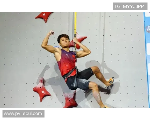 武汉攀岩队实力强劲荣登全国个人能力排行榜第四名