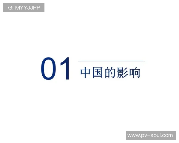 深度对话陈敏的排球人生与梦想追逐的心路历程